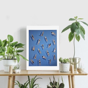 swimming society poster blue prints.jpg