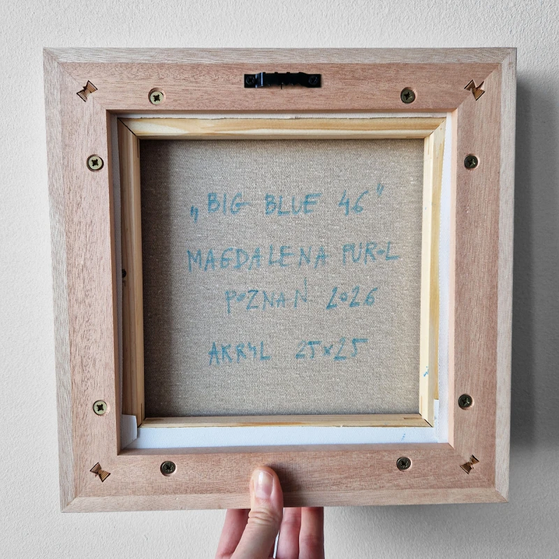 BIG BLUE 46 tył.jpg