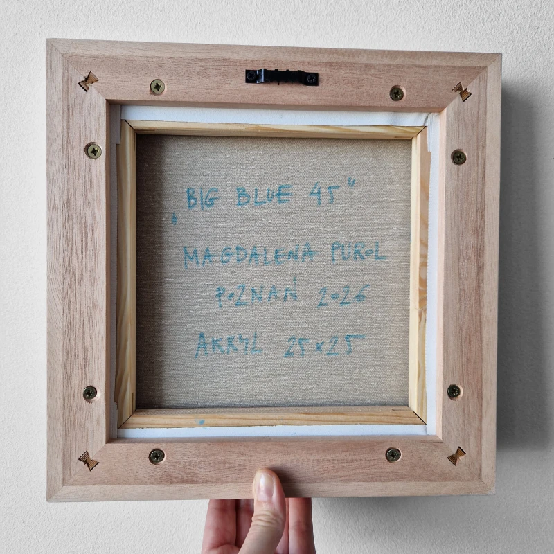 BIG BLUE 45 tył.jpg